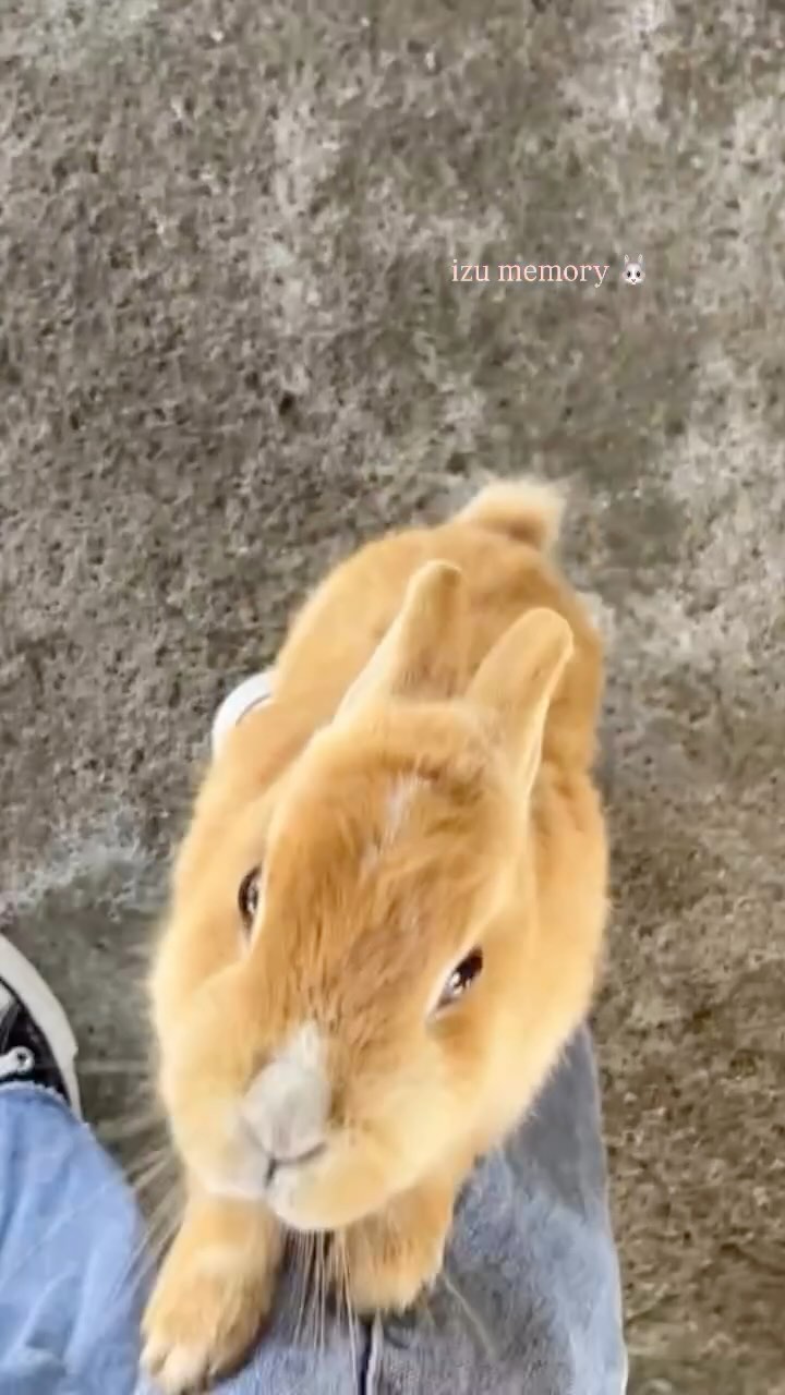 まりん
