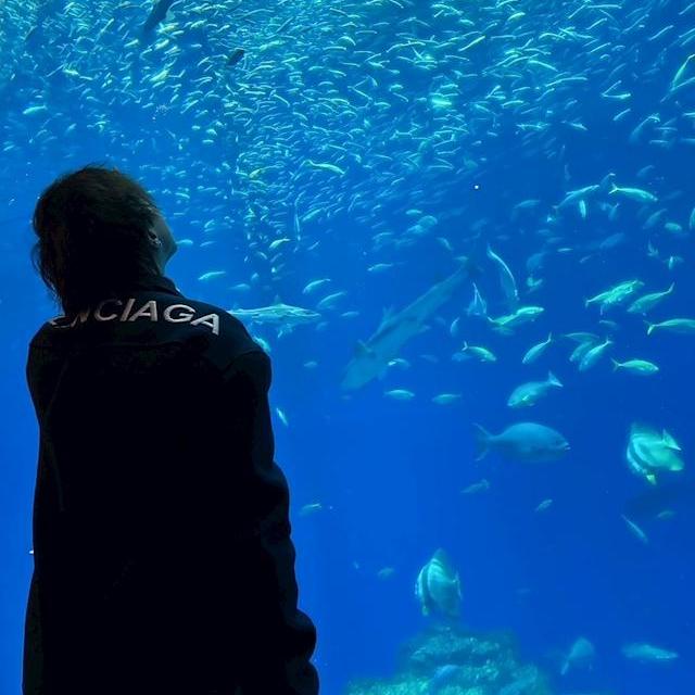 はる[スタッフ]