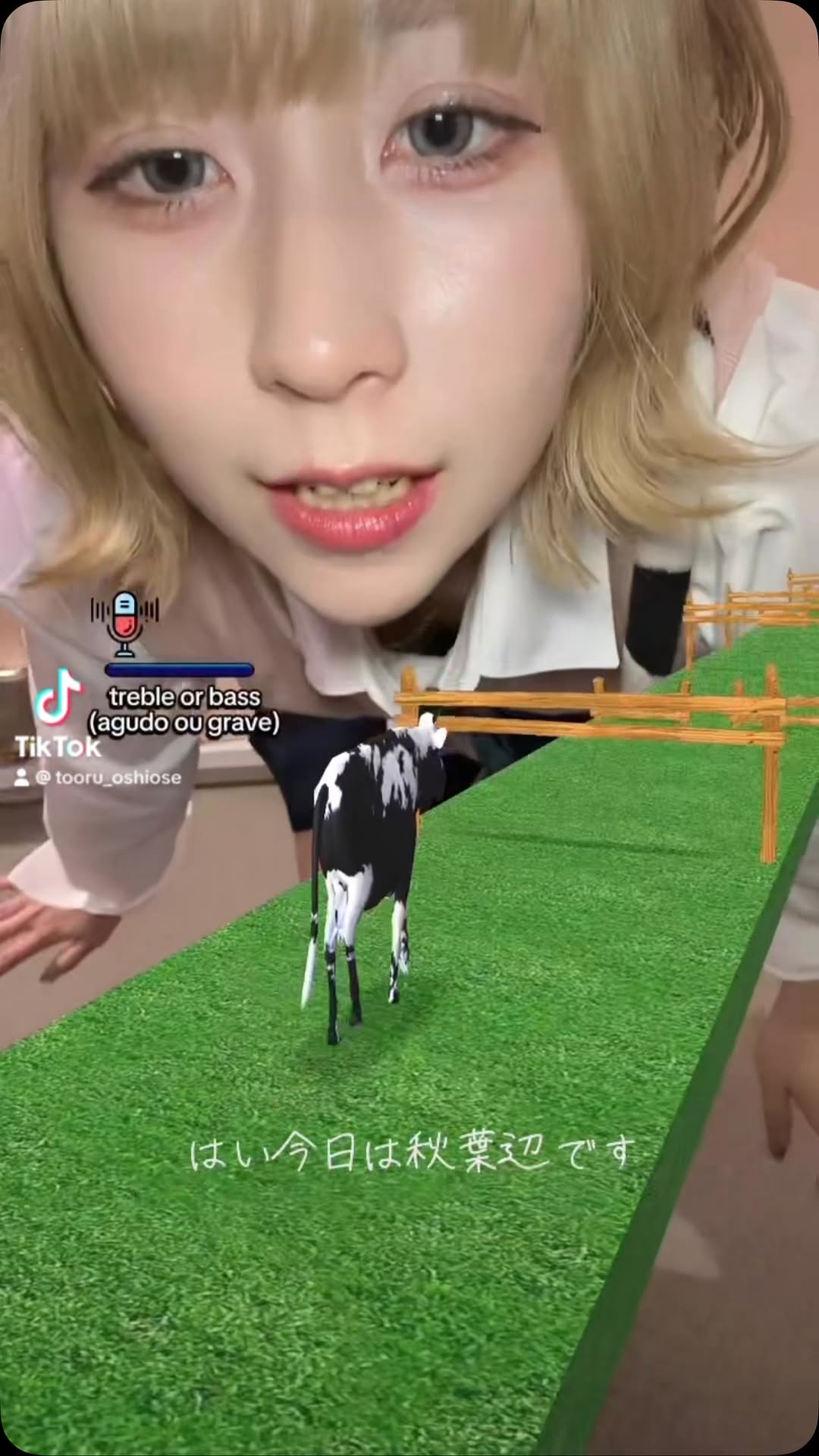 とおるちゃん牛丼控えます。🍙