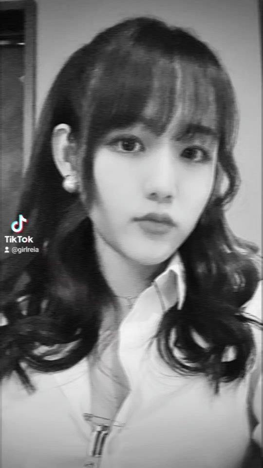 Reia