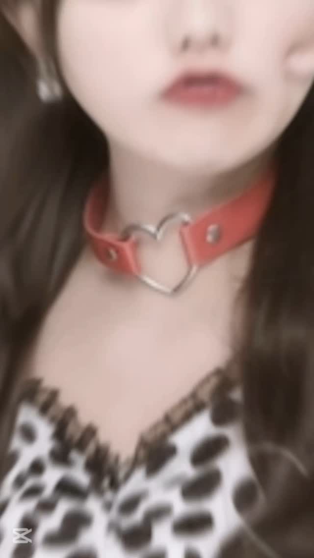 Reia