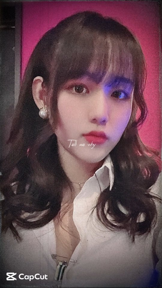 Reia