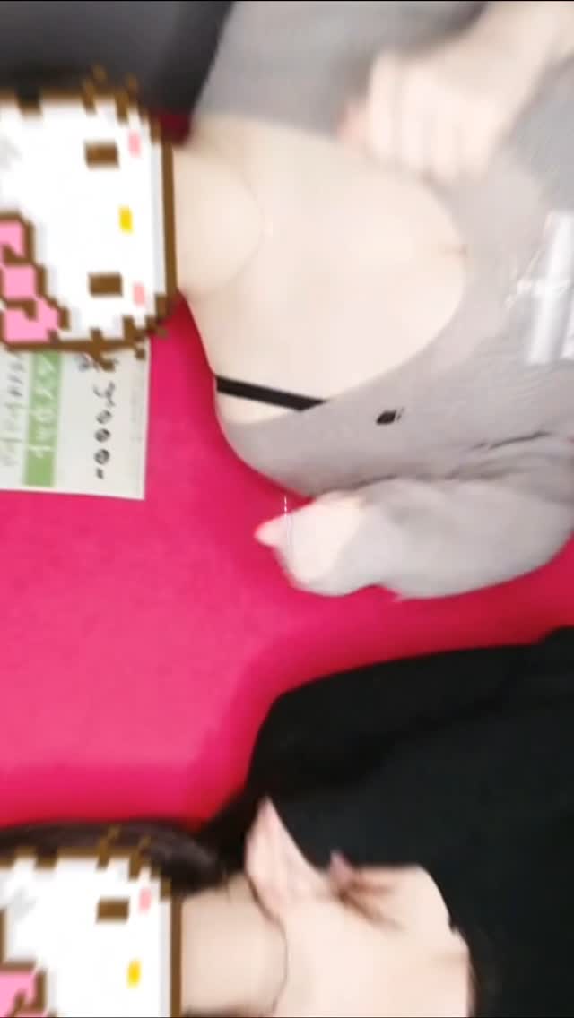 Reia