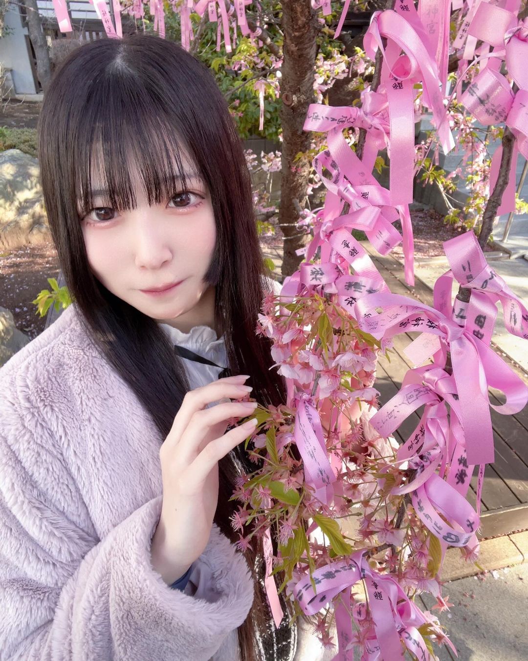 すみれ