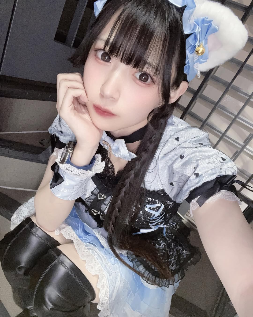 すみれ
