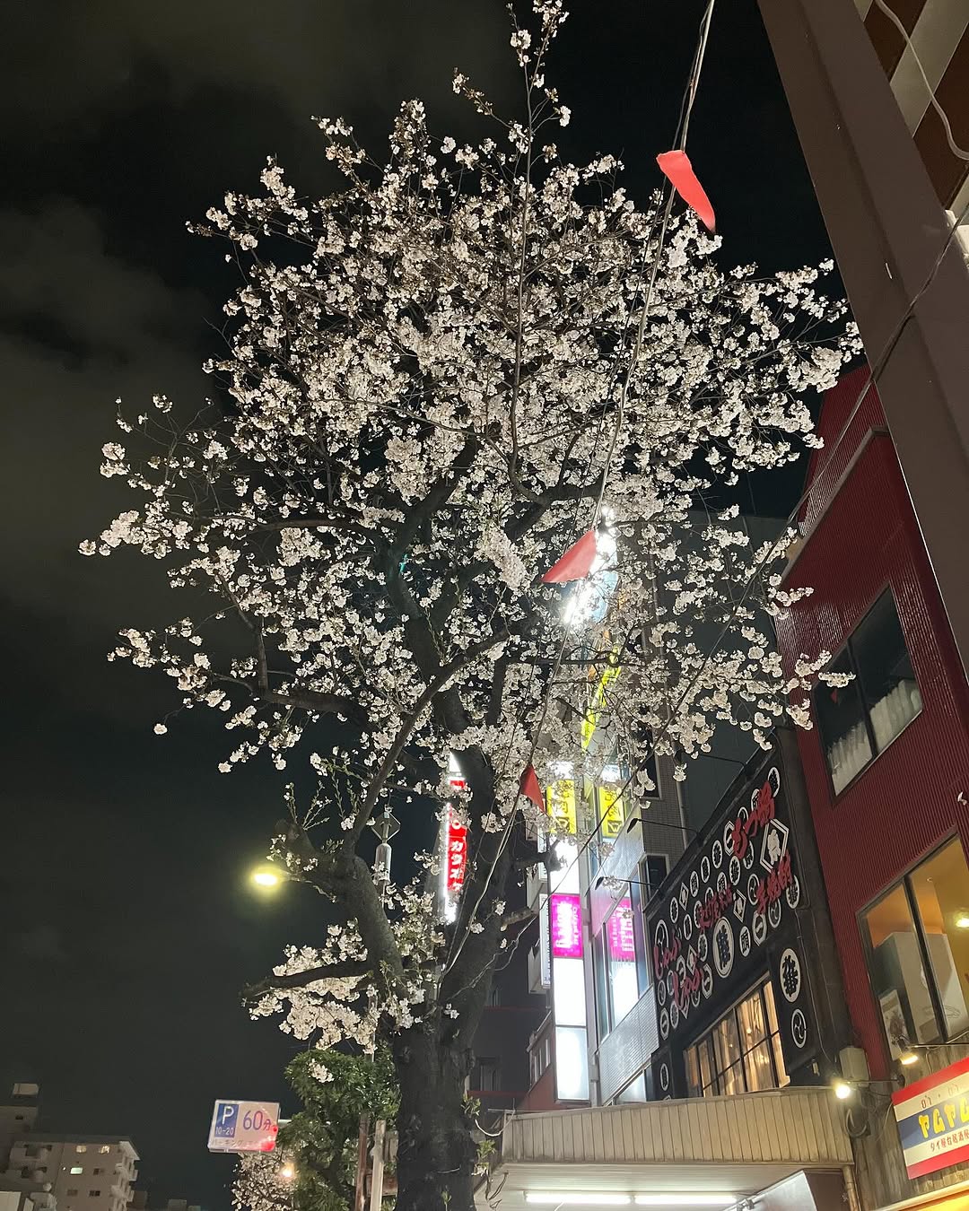 Merry門前仲町店