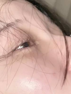 ハル