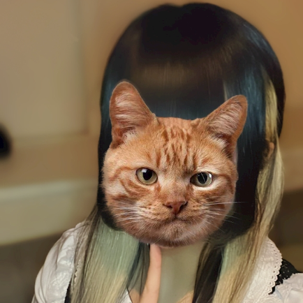 &nbsp;&nbsp;&nbsp;&nbsp;˙˚ 𓆩 しずく 𓆪 ˚˙【あのころめもりーず】