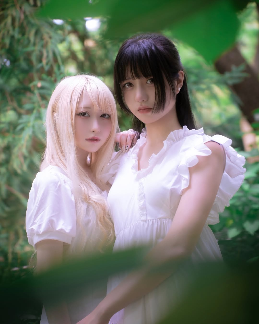 あおもそう思う