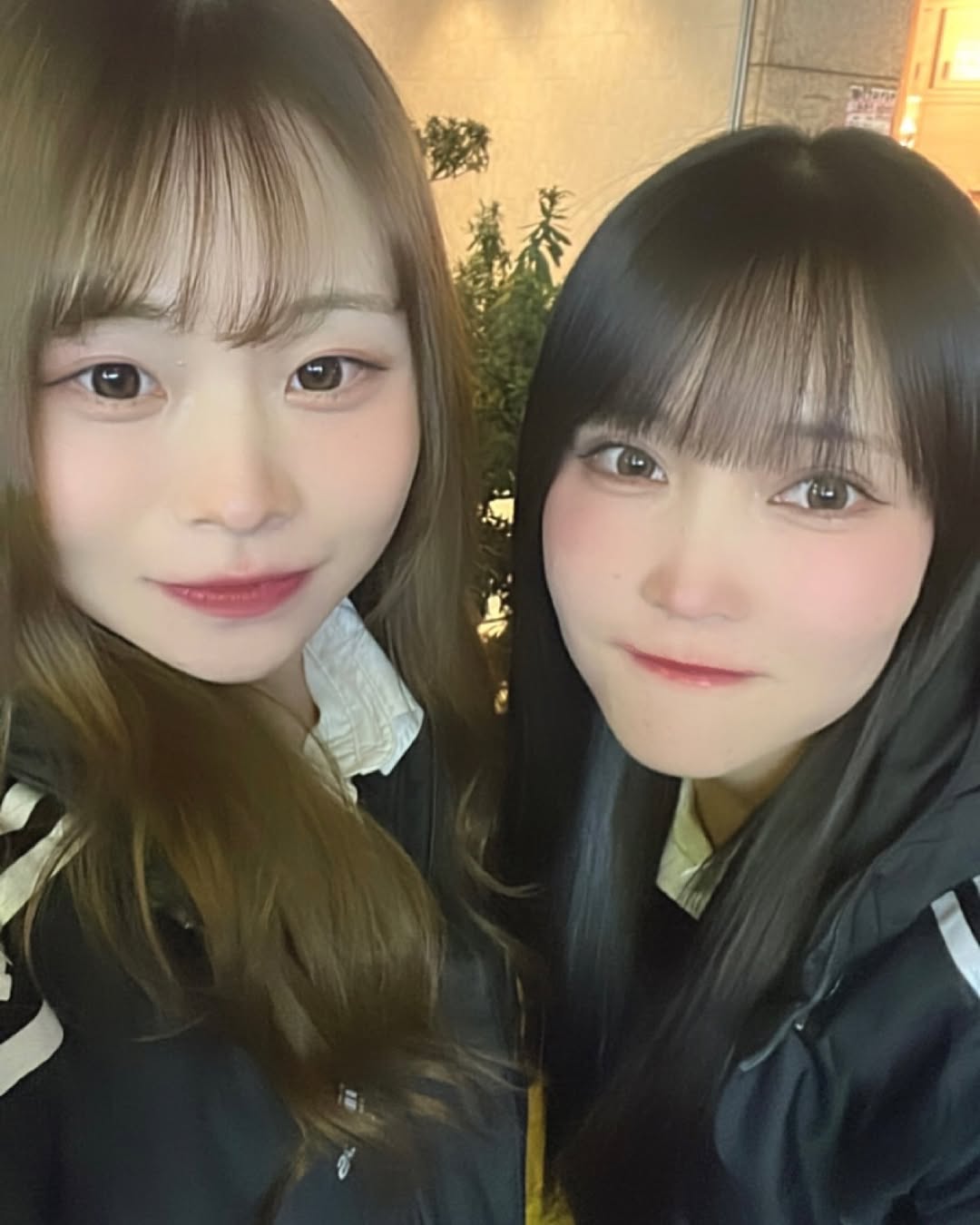 Girls Bar HONEY HUNT