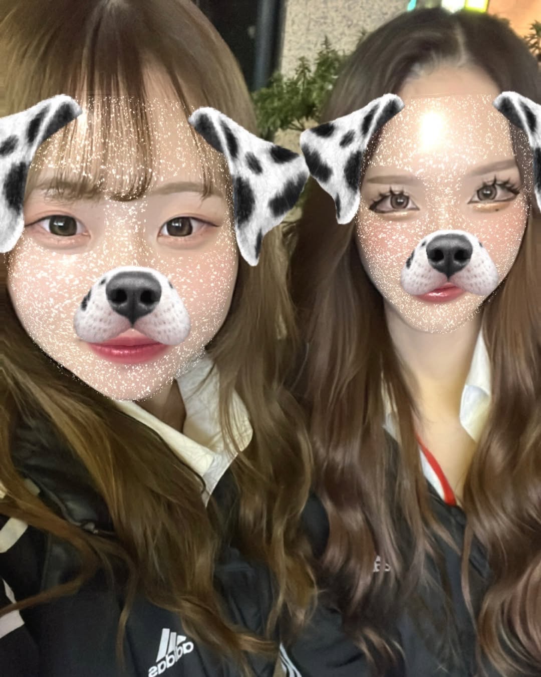 Girls Bar HONEY HUNT