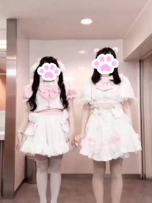 せな 副ぴょん長