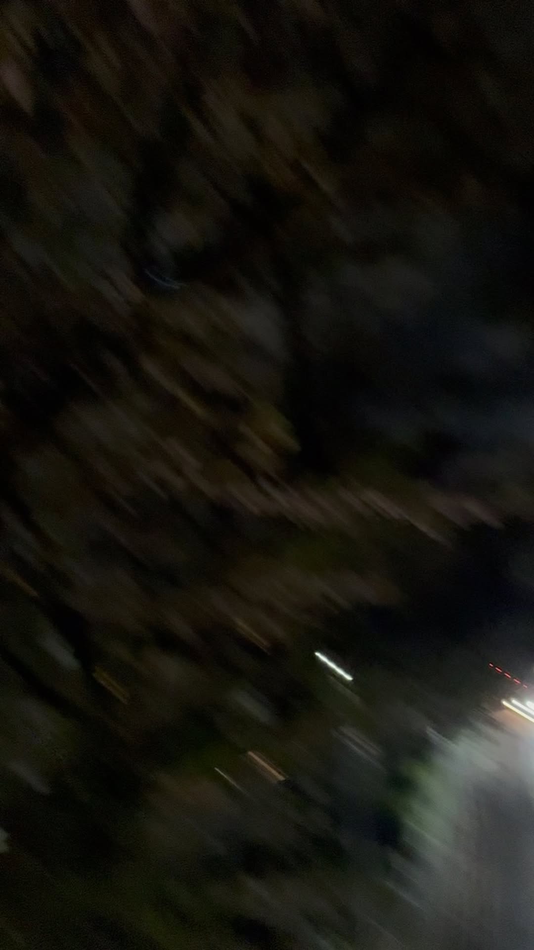     ༺🦋えれな🦋༻