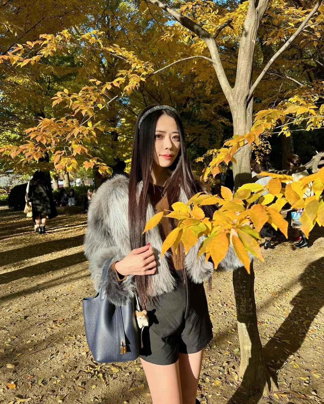 セナケンサンバ