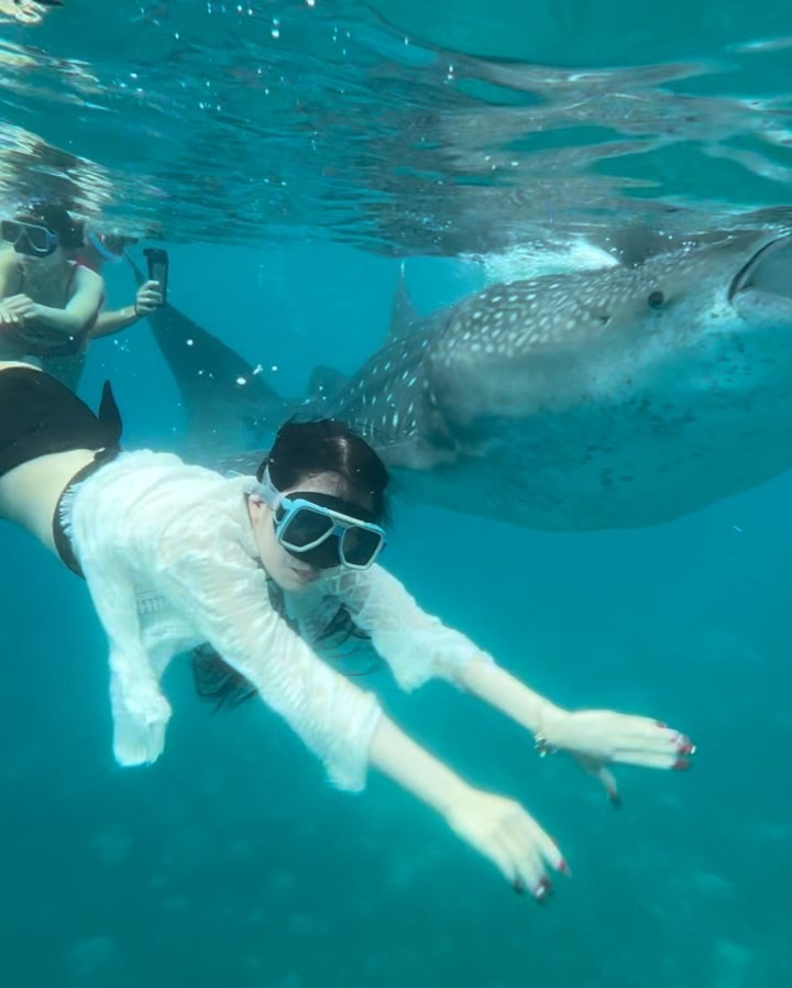 セナケンサンバ