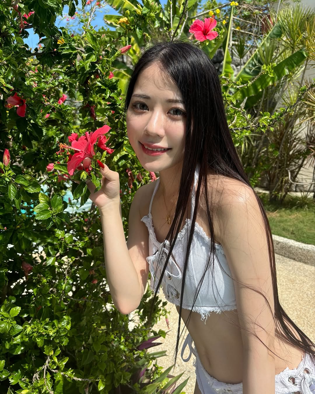 セナケンサンバ