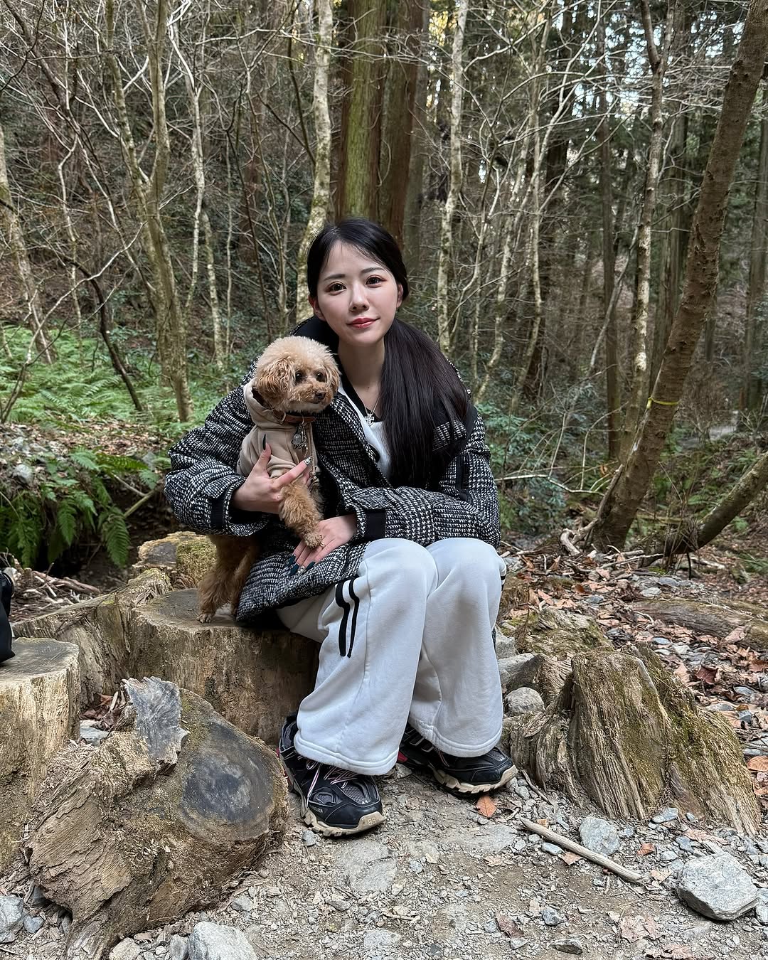 セナケンサンバ