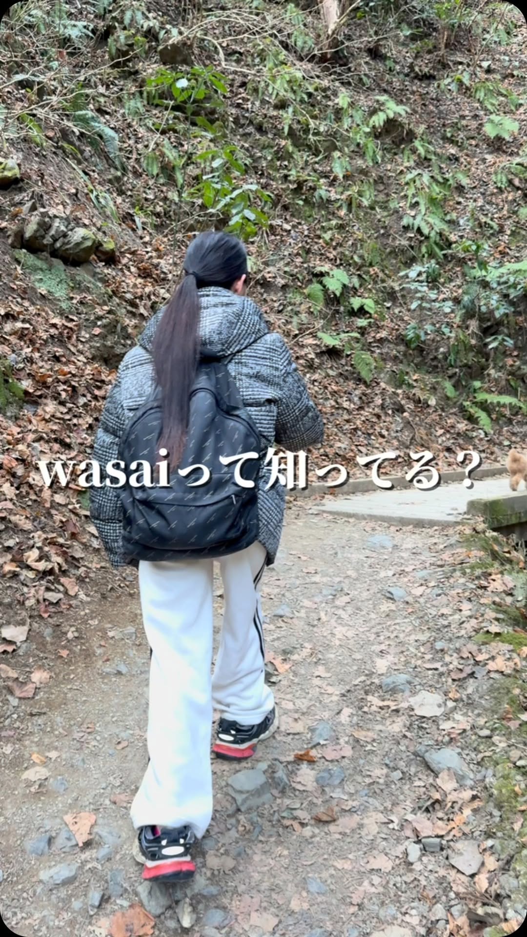 セナケンサンバ