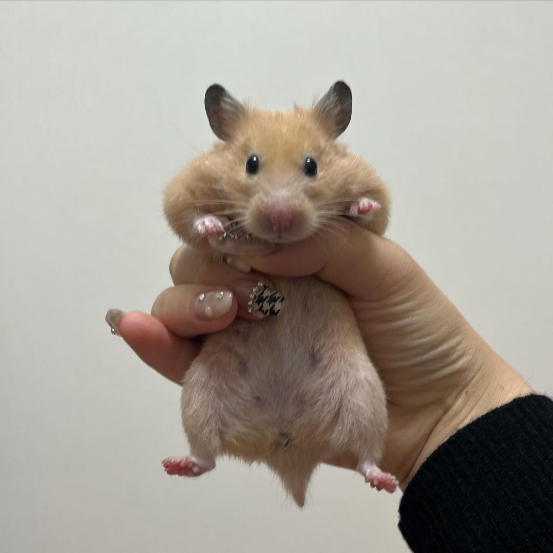 せいらちゃん！