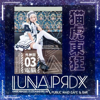 LUNA PRDX -電気街研究所-