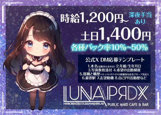 LUNA PRDX -電気街研究所-の女性求人画像