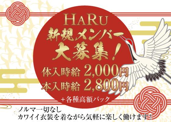 HARUの女性求人画像