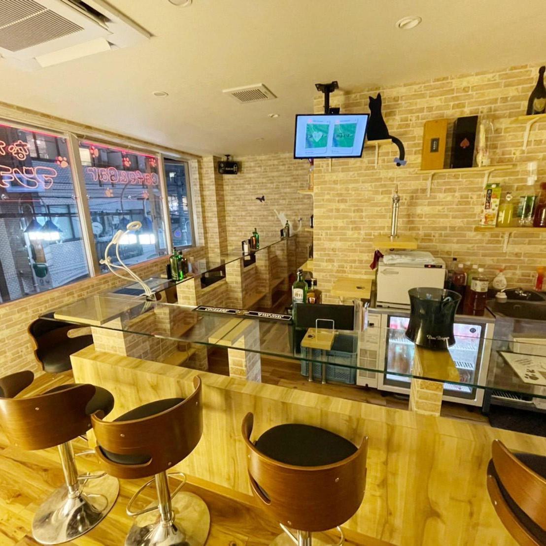 なかめ マンチカン