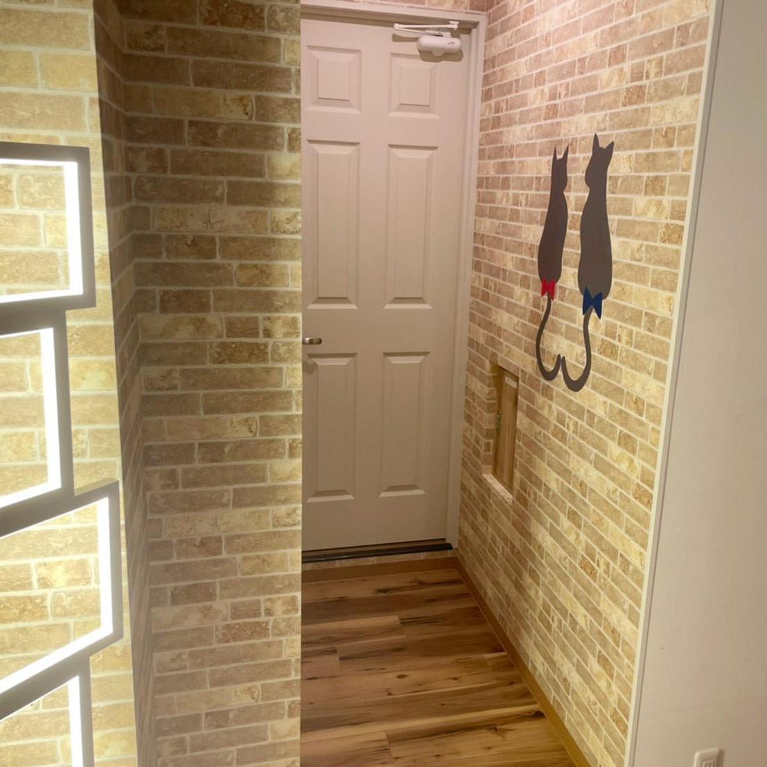 なかめ マンチカン